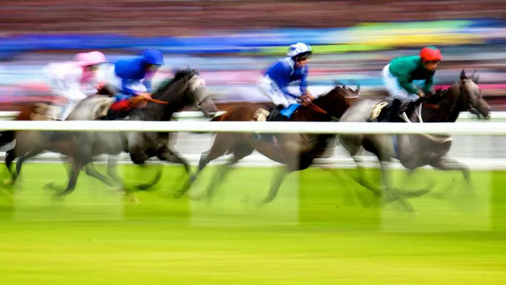 Jockeys riding in a horse race, illustrating UK horse-racing betting markets.